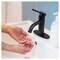 Everflow Bathroom Faucet w/ Deck Plate, 1 handle, 1 or 3 hole Stainless Matte Black BAC-V10MB - alternate 8